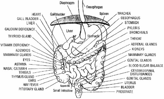 diseases of digestive system. digestive system disease