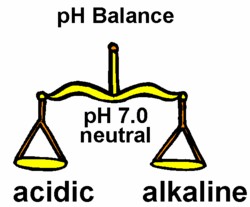 ph-balance-scales.jpg