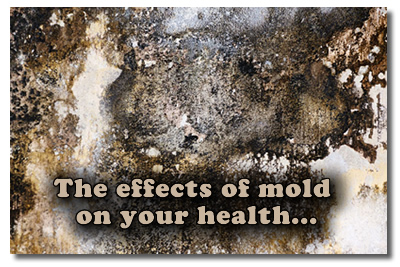 A Lot Of Mold In Your Home Can Effect Your Health Greatly