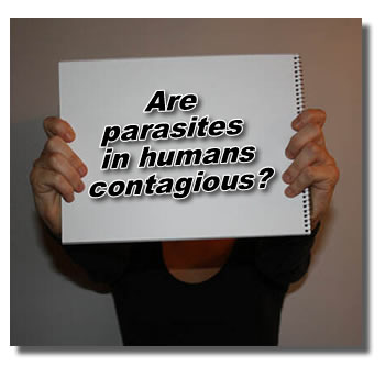 Can you tell me if parasites in humans are contagious?
