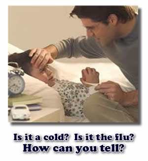 cold vs flu symptoms