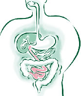 Is colon cleansing health