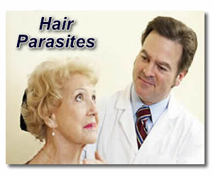 hair parasites