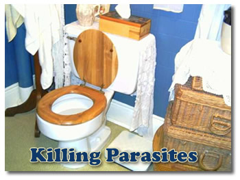 Kill Parasites With Natural Herbal Remedies