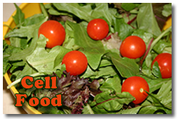 Morgellon Disease Cell Food