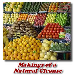 natural colon cleanse ingredients