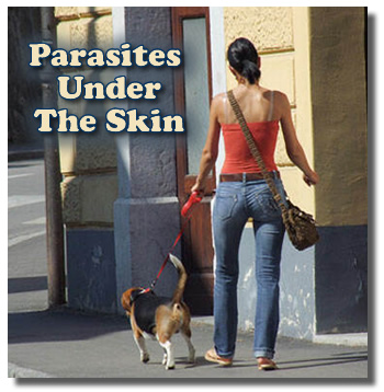 Dealing With Parasites Under The Skin