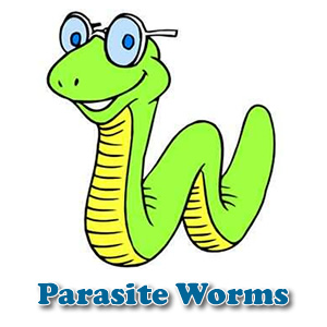 parasite worm