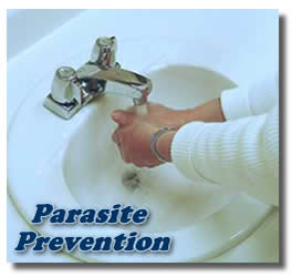 preventing parasites in humans