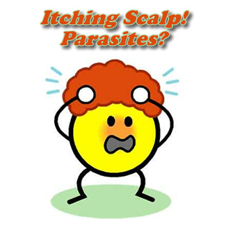 Hair and Scalp Parasites?