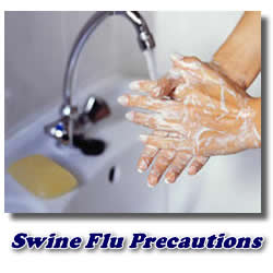 swine flu precautions