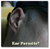 Question About Ear Parasites