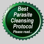 best parasite cleanse