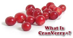 CranVerry + ingredients